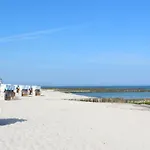 29 Ostseestern