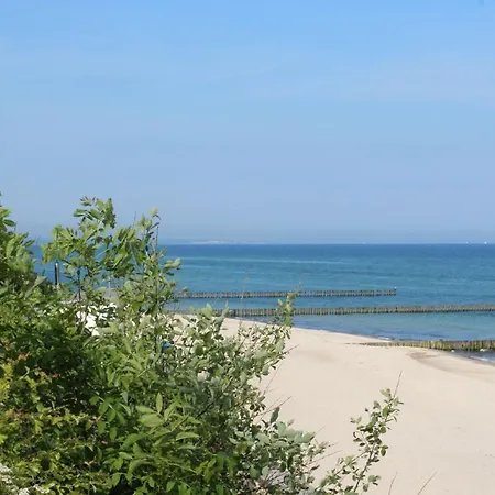 29 Ostseestern Ostseebad Nienhagen
