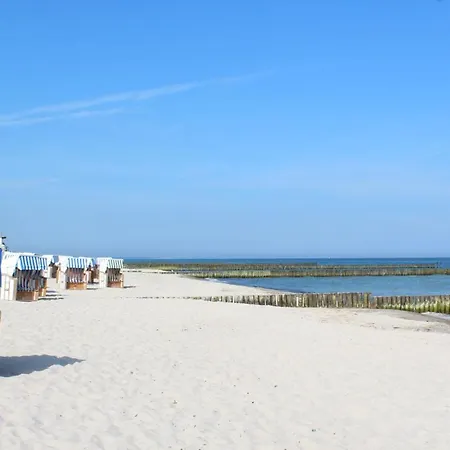29 Ostseestern * Nienhagen