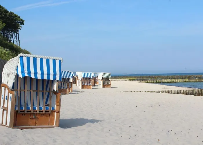 29 Ostseestern * Ostseebad Nienhagen