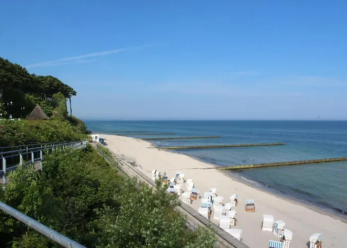 29 Ostseestern