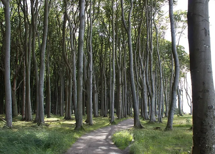 29 Ostseestern Appartement *